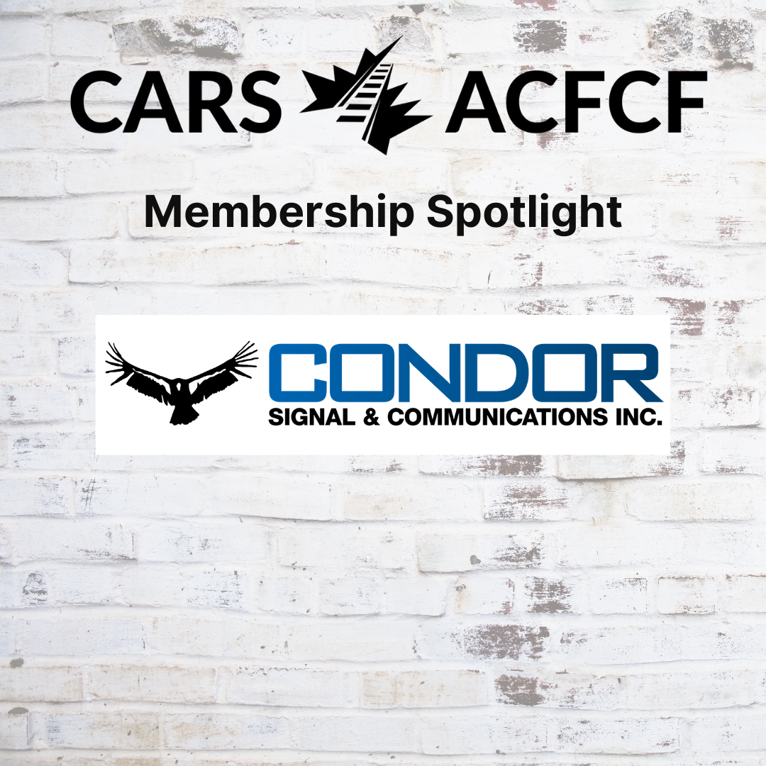 Condor Spotlight